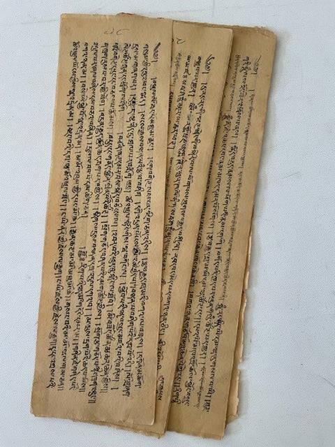 Item #12655 Attractive Tibetan Buddhist Manuscript Sutra 18th-19th Century. Tibetan Buddhist Manuscript.