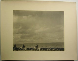 Item #14044 Vintage 1920s Original Western Photograph of Cowboys and Cattle. CATTLE AND COWBOYS,...
