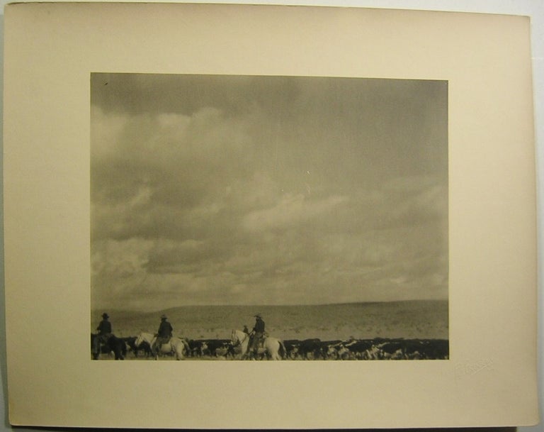 Item #14044 Vintage 1920s Original Western Photograph of Cowboys and Cattle. CATTLE AND COWBOYS, Photograph.