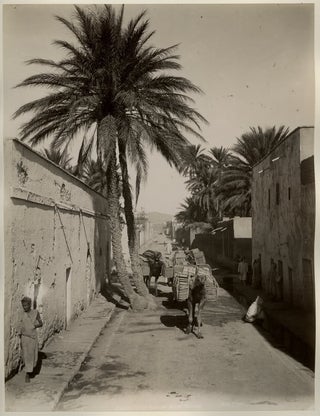 Item #14066 Photograph of Camels Traveling through an Arabian or North African Street, Circa...
