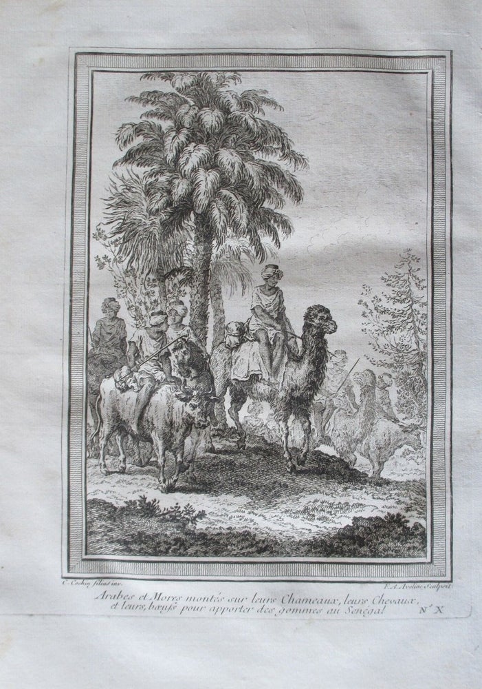 Item #14362 Original Engraving of Arabs Traders Traveling by Camel, horse and Oxen, published in 1748. Arab Engraving.