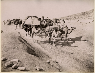 Item #14377 Photograph of Camel Train in the Sahara, Printed Circa 1890s. Sahara Photo Arab Camel