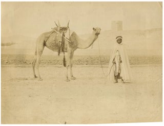 Item #14546 Bedouin Warrior With His Camel, 19th Century, Albumen Photograph. Bedouin Warrior,...