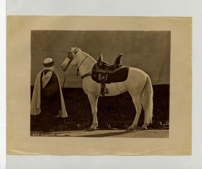 Item #14582 Arabian Horse, 19th Century, Albumen Photograph. Albumen Photograph Arabian Horse.
