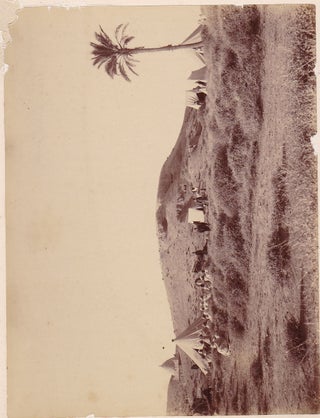 Item #14695 Large Albumen Photographs of Bedouin Camps. Photographs Bedouin Camp