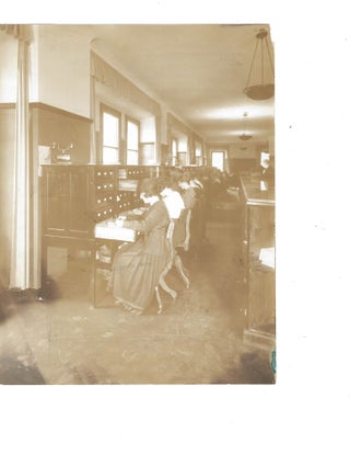 Item #16205 Original Vintage Photograph of Women Civil Servant Office Workers, early 1900s....