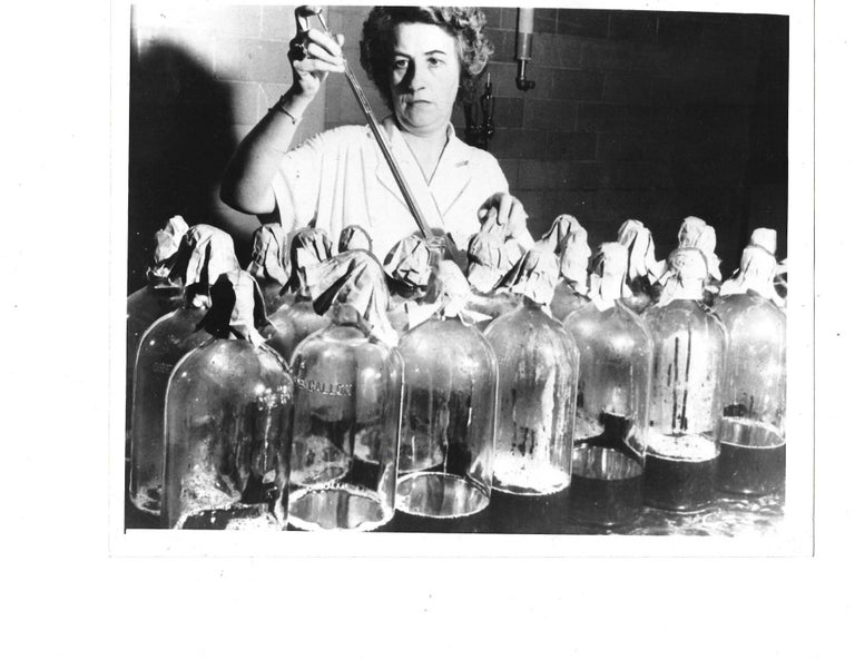 Item #16226 Lifesaving Penicillin Production during WWII. Photo Women in Science.
