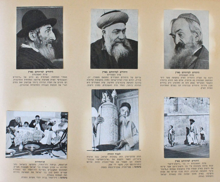 Item #17720 1939 Palestine Israel Album of 216 Cigarette Card Photos. Album Israel.