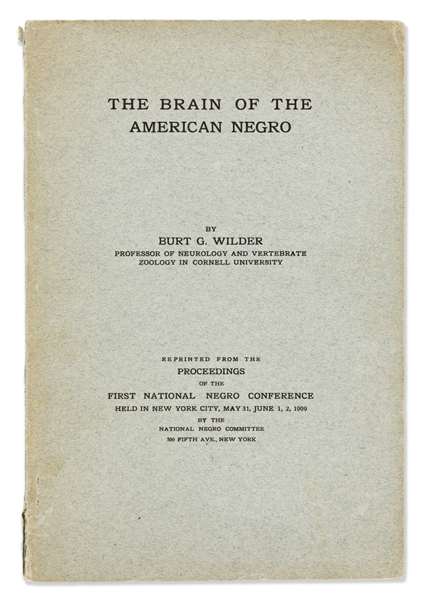 Item #17801 The Brain of the American Negro and American Negroes in the Civil War. Negroes in the Civil War African American.
