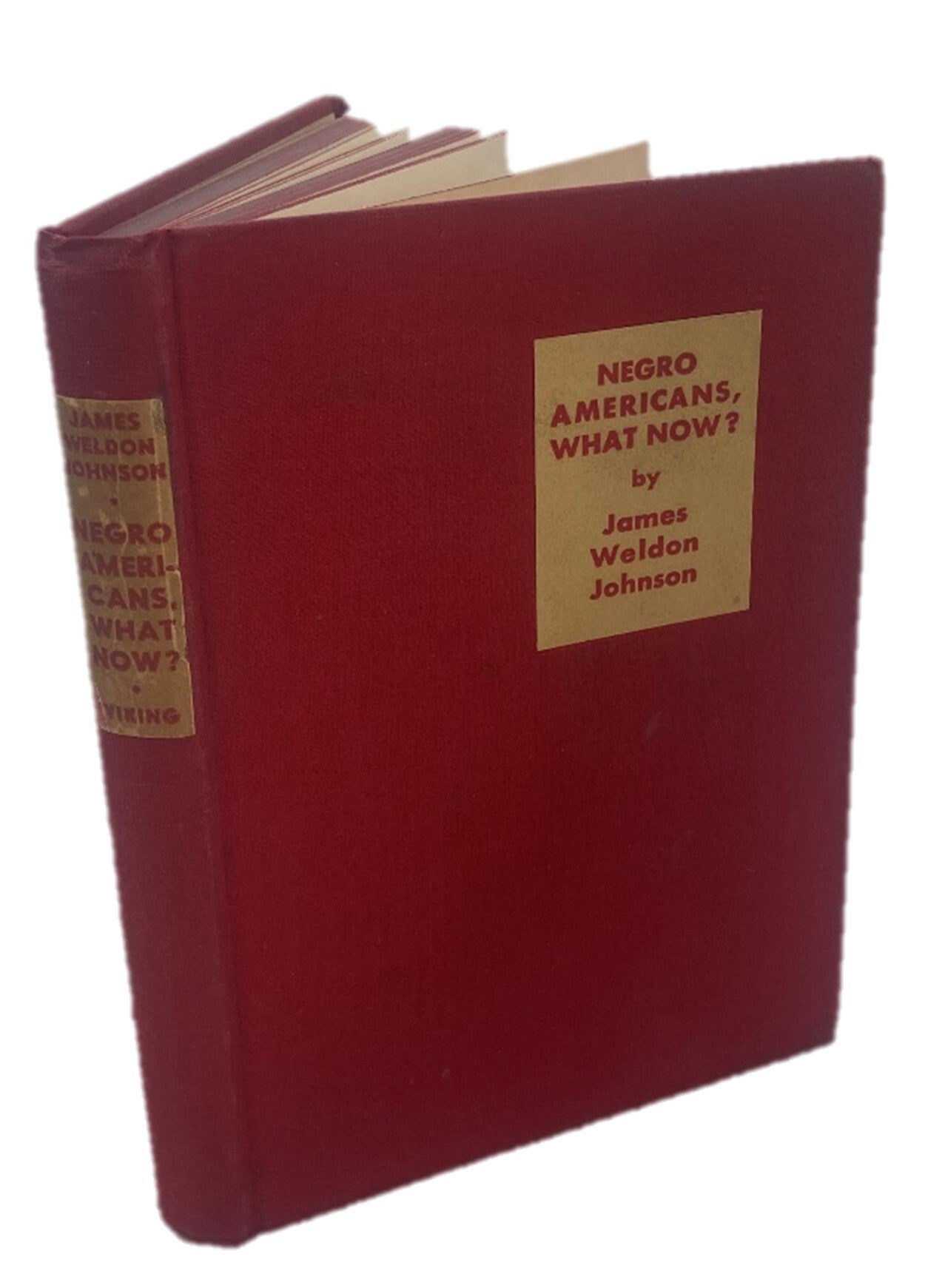 Harlem Renaissance James Weldon Johnson Negro Americans, What Now ...
