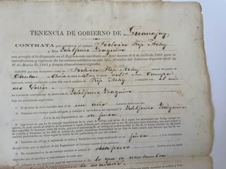 Indentured Servant Contract in Spanish Colonial Cuba, 1869. Spanish Colonialism Chinese Immigrant.