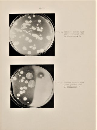 Original Bacteriology PH.D Thesis by Delaphine Rosa, Univ of Wisconsin Student 1938 and Future Wellesley College Dean