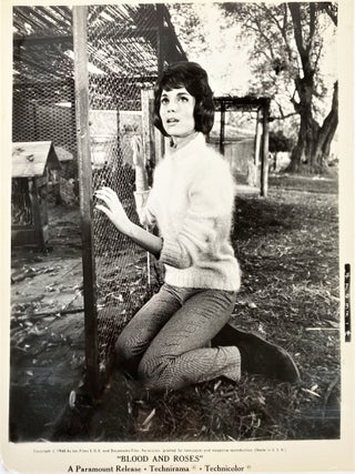 LGBTQ Film History and Early Lesbian Representation Blood and Roses Press Photo Archive 1960