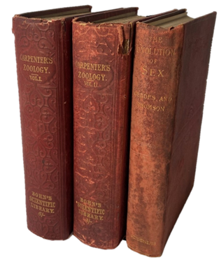 Item #19453 Dr. Elizabeth Blackwell’s Owned and Signed Books on Zoology and The Evolution of...