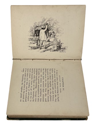 Post Reconstruction Early Civil Rights Novel "Free At Last", 1896