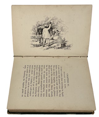 Post Reconstruction Early Civil Rights Novel "Free At Last", 1896