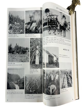 A History of Japanese Immigrants in Hawaii, First Edition