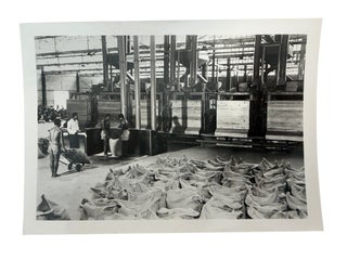 Belgian Colonial Development and Labor in the Congo, 5 Official Photographs of Coffee Production, Workers’ Housing, and Léopoldville, ca. 1950s