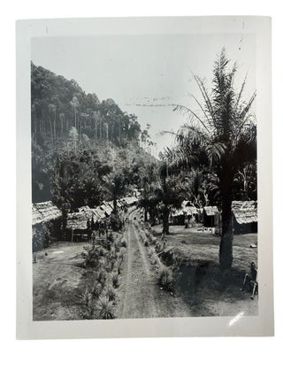 Belgian Colonial Development and Labor in the Congo, 5 Official Photographs of Coffee Production, Workers&rsquo; Housing, and L&eacute;opoldville, ca. 1950s