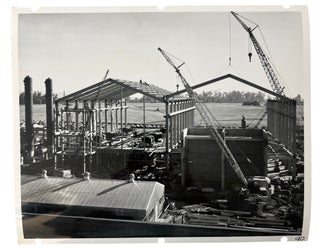 The Transformation of Western Agriculture: Brea Chemicals Construction Photo Archive, 153 Large-Format Photographs Documenting Postwar Fertilizer Production Infrastructure, California, 1954