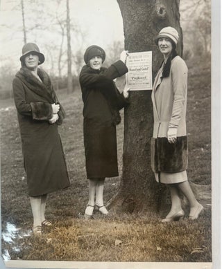 Early Documentation of Women in Chemistry, Bacteriology, Medicine, and Laboratory Instruction, 11 Photographs including Identified Individuals, circa 1900 to 1946