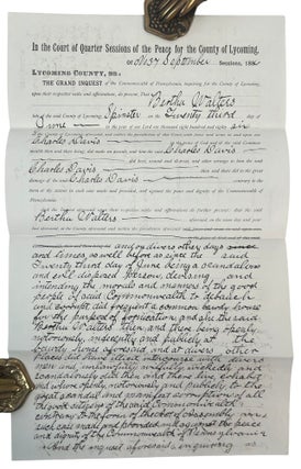 Pennsylvania Woman Bertha Walters Charged with "Fornication, Lewdness, and Common Scold" in Manuscript Criminal Court File, 1886