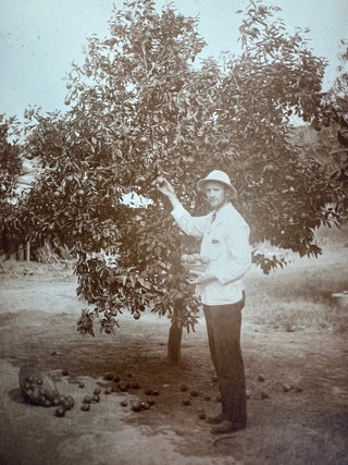 Protestant Mission Photograph Archive of Portuguese Angola, 1912&ndash;1914 &mdash; Mission Schools, African Christian Workers, & the Infrastructure of Western Religious and Educational Authority (27 Photographs)