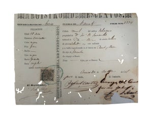 Pre-Abolition Puerto Rico Slave Registration Form Listing an 18 Year Old Enslaved Black Man, "Feliciano", 1871