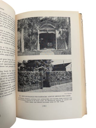 Japanese American Art During WWII Internment, Beauty Behind Barbed Wire, First Edition, 1952