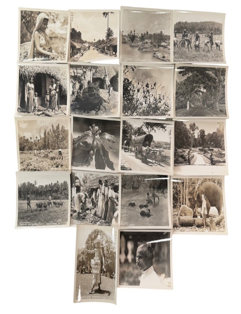 British Ceylon Plantation Labor and the Colonial Export Economy that built the British empire ,...