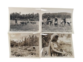 British Ceylon Plantation Labor and the Colonial Export Economy that built the British empire , Photo Archive, 1934