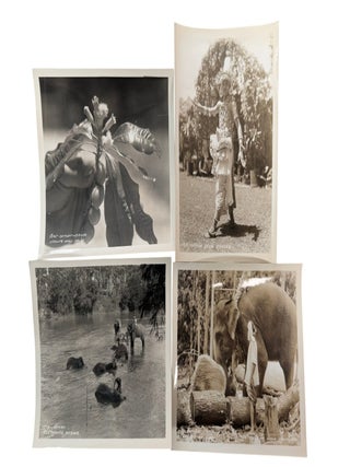 British Ceylon Plantation Labor and the Colonial Export Economy that built the British empire , Photo Archive, 1934