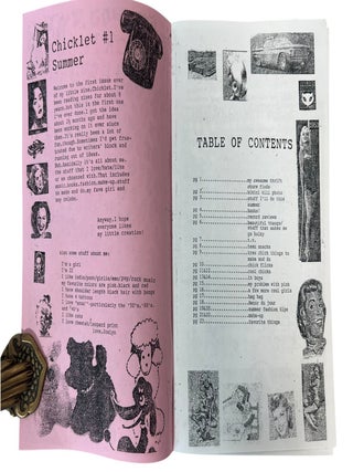 Archive of Ten Feminist Zines, Distro Culture, and DIY Publishing, 1996 to 2005