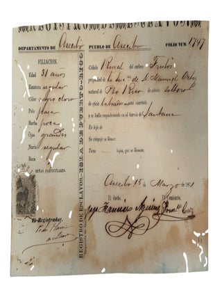 Puerto Rico Slave Registration After the Moret Law Listing a 31 Year Old Enslaved "Negro. Slavery, Puerto Rico.