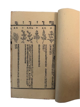 Qing Era Materia Medica: Wu Yiluo's Ten Volume Zengjiao Bencao Congxin of Medicinal Plants, Minerals, Animals, and Prepared Drugs