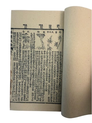 Qing Era Materia Medica: Wu Yiluo's Ten Volume Zengjiao Bencao Congxin of Medicinal Plants, Minerals, Animals, and Prepared Drugs