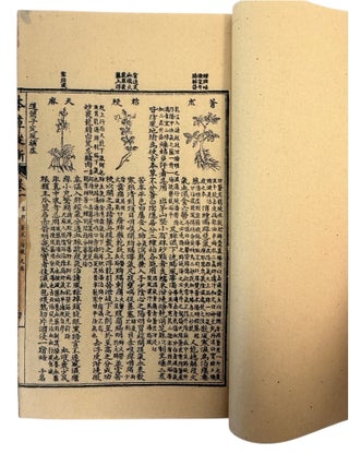 Qing Era Materia Medica: Wu Yiluo's Ten Volume Zengjiao Bencao Congxin of Medicinal Plants, Minerals, Animals, and Prepared Drugs