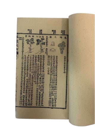 Qing Era Materia Medica: Wu Yiluo's Ten Volume Zengjiao Bencao Congxin of Medicinal Plants, Minerals, Animals, and Prepared Drugs