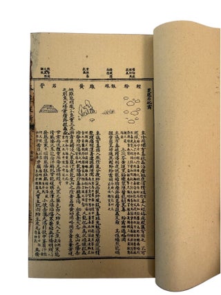 Qing Era Materia Medica: Wu Yiluo's Ten Volume Zengjiao Bencao Congxin of Medicinal Plants, Minerals, Animals, and Prepared Drugs