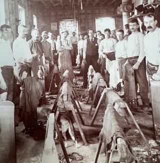 American Tannery Workers at the Dawn of Industrial Mechanization, Photo Album, circa 1890